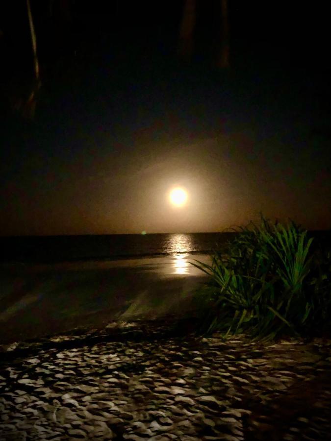 Simba Beach Zanzibar Kiwengwa  Buitenkant foto